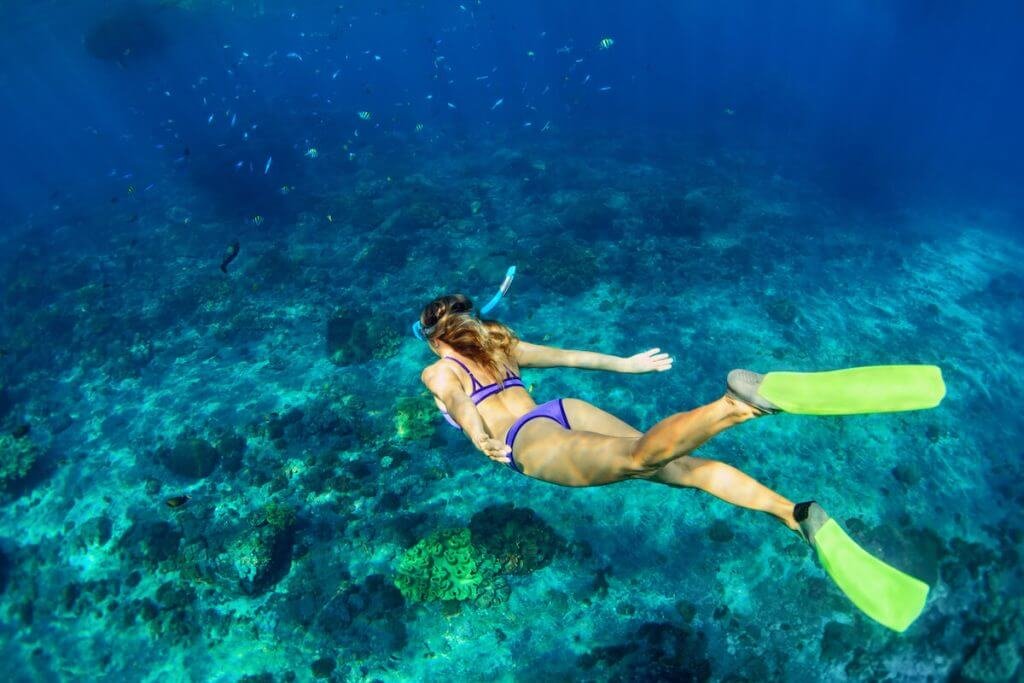 Snorkeling in Playa del Carmen