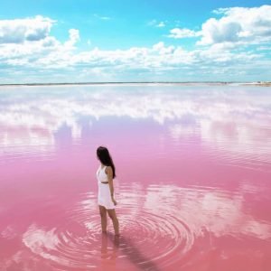 Rio Lagartos and las coloradas