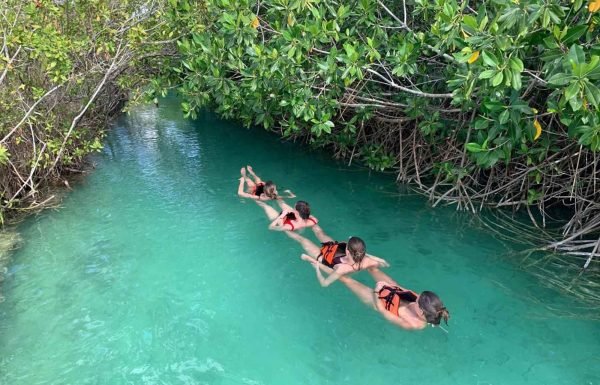 Muyil Ruinen & Mini sian kaan & Cenotes Wanderung – Bild 3