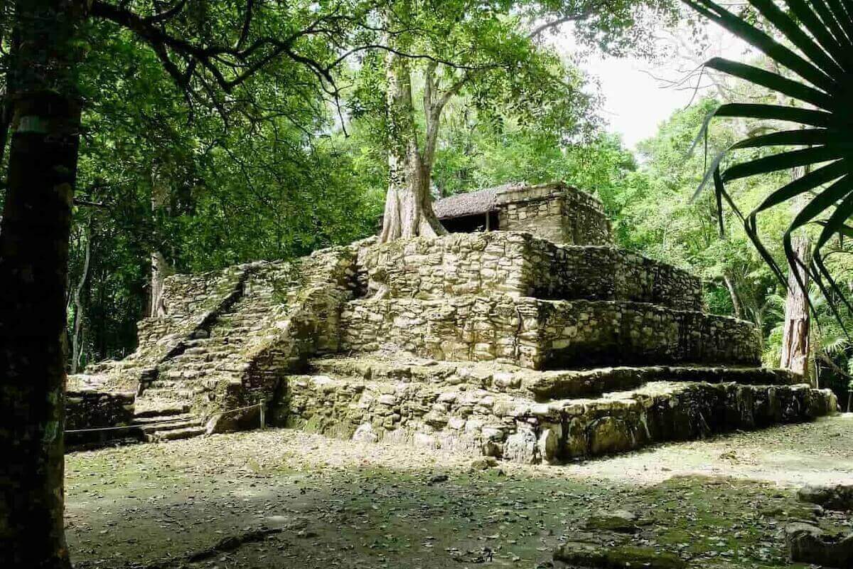 Maya-Tempel von Muyil im dichten Dschungel am Rand von Sian Ka'an