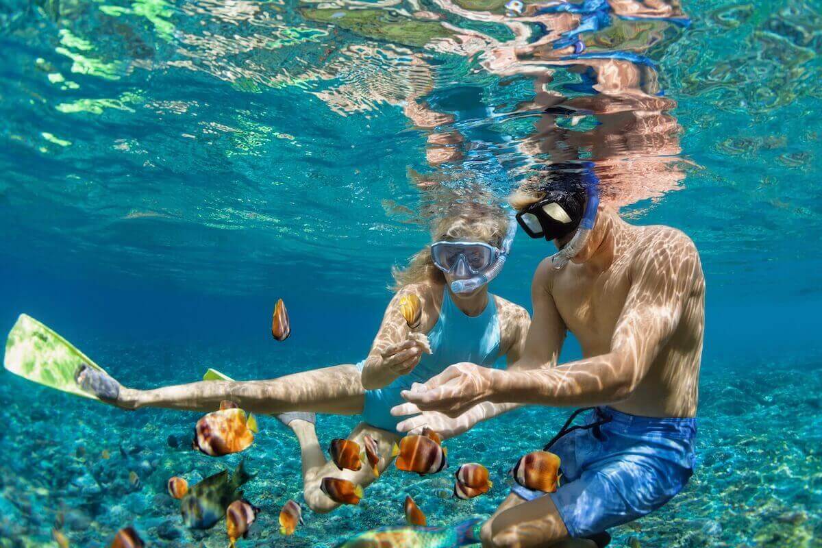 Buceo con esnórquel en el mar caribe cerca de Playa del Carmen en la mejor época