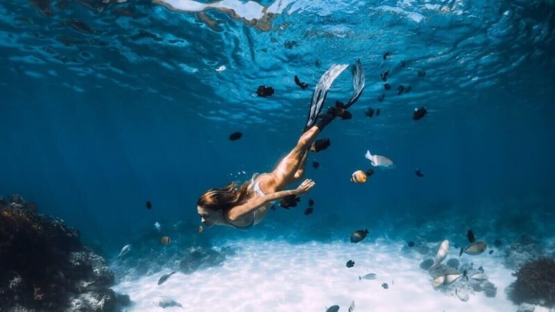 Schnorcheln in Playa del Carmen